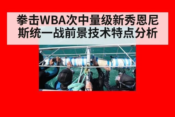 拳击WBA次中量级新秀恩尼斯统一战前景技术特点分析